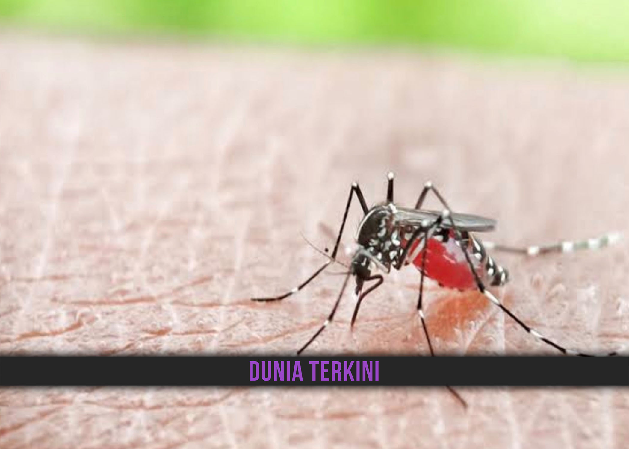 SRI LANKA KERAH TENTERA PERANGI DENGGI