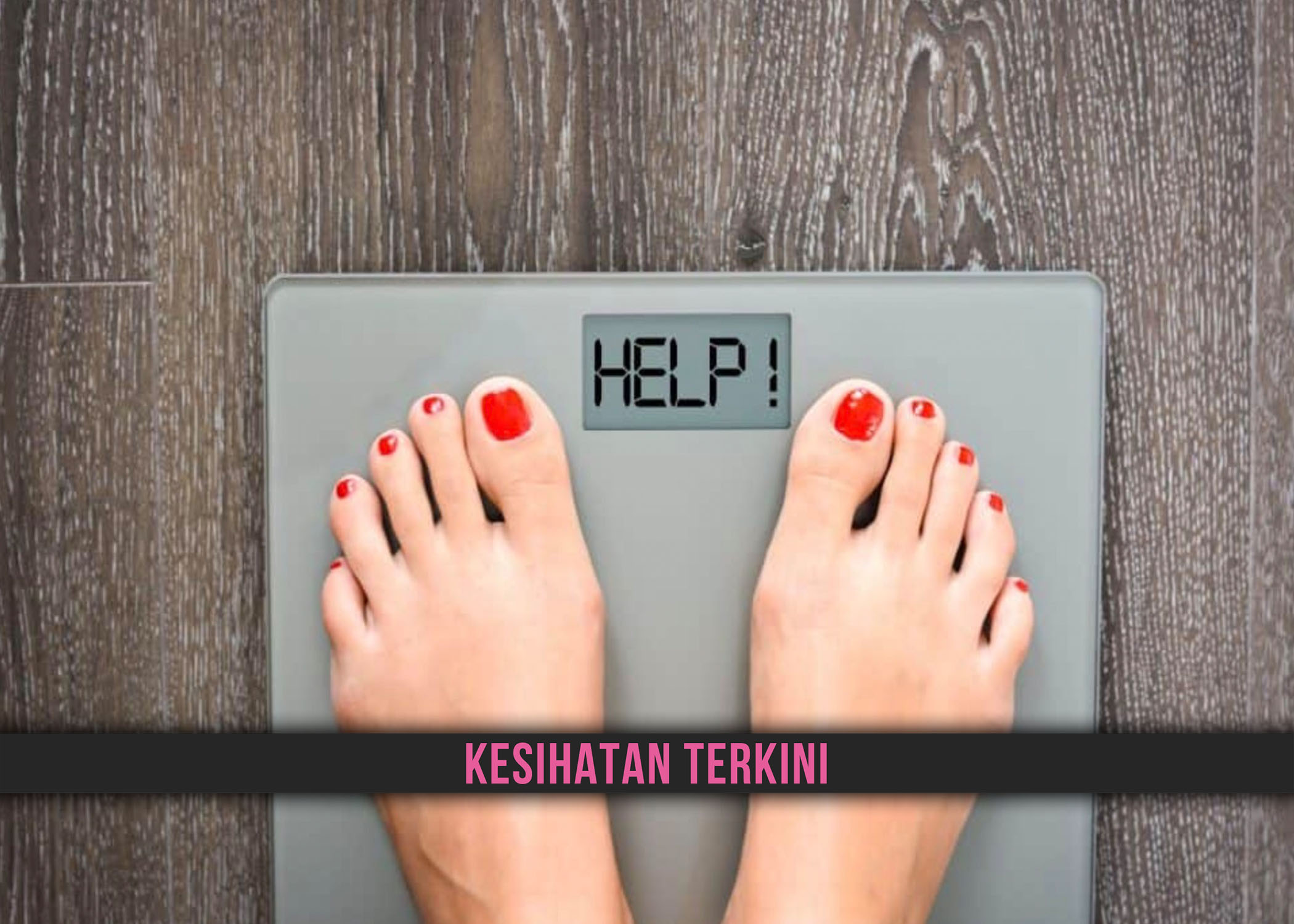 TIPS MAKANAN SIHAT UNTUK MENAIKKAN BERAT BADAN