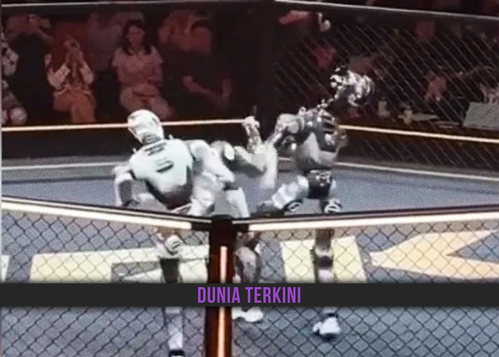 ROBOT HUMANOID BERTUMBUK CURI TUMPUAN DUNIA