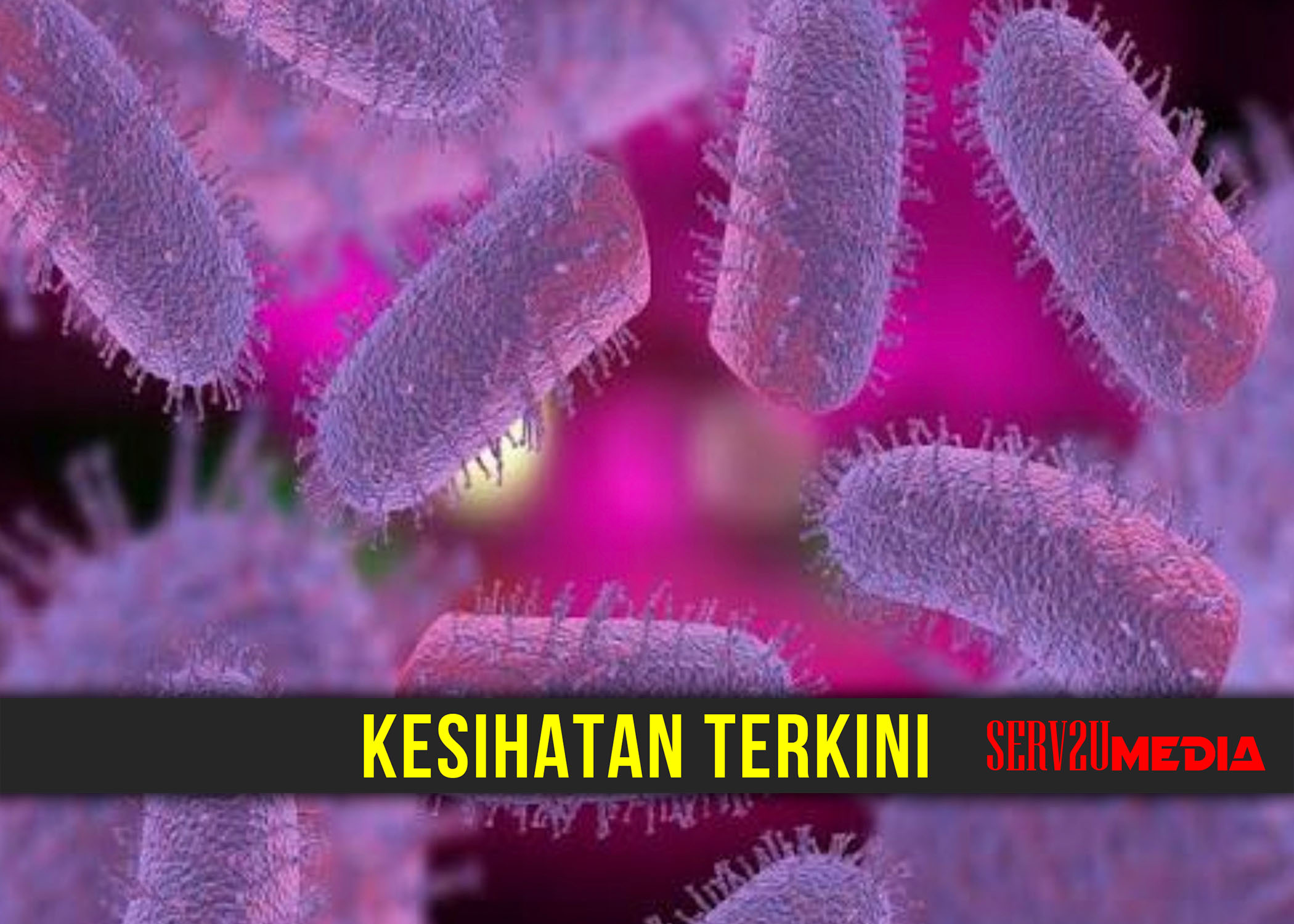 DIGIGIT ANJING TERBIAR, LELAKI MAUT AKIBAT RABIES